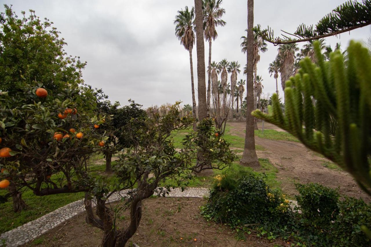 Villa Del Riu Deltebre Buitenkant foto